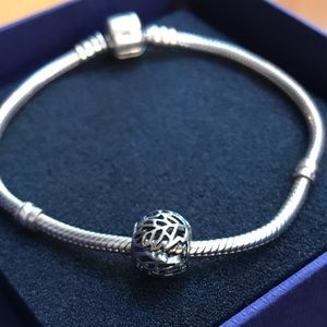 *Retired PANDORA Charm